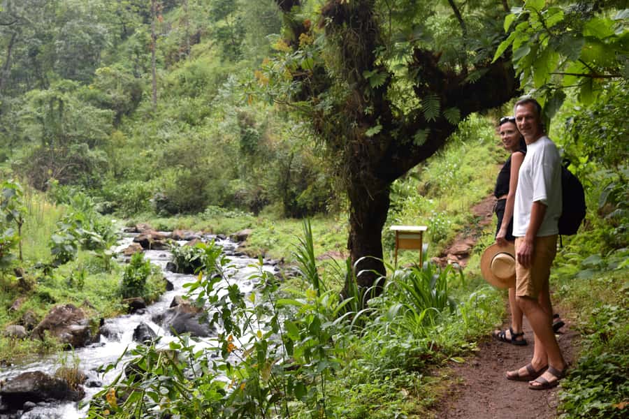 Materuni Waterfalls, Chemka Hot Springs, &/Or Coffee Tour - The lesser-known Chemka waterfall stop