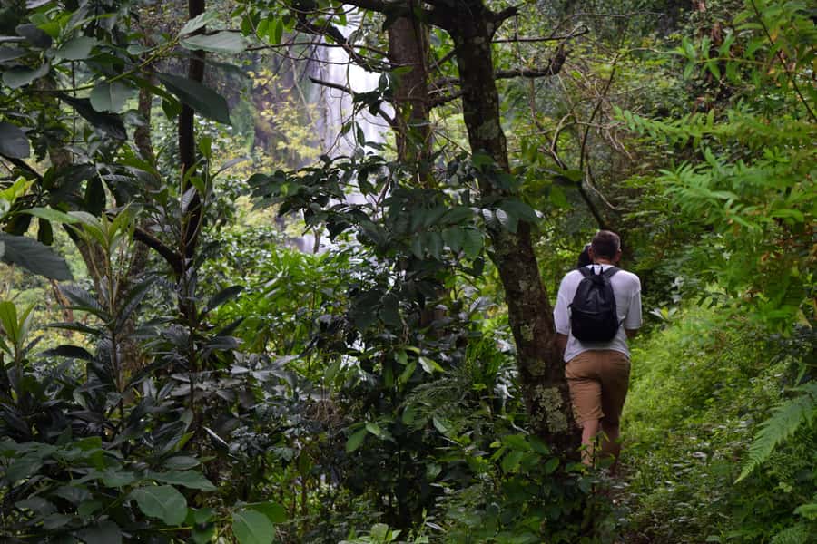 Materuni Waterfalls, Chemka Hot Springs, &/Or Coffee Tour - What the guides add to the day