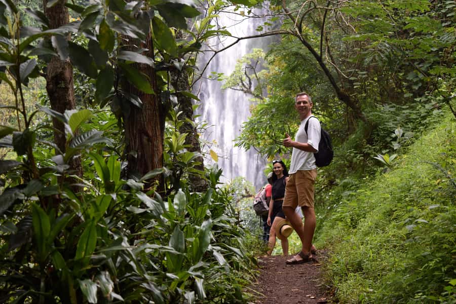 Materuni Waterfalls, Chemka Hot Springs, &/Or Coffee Tour - Transport, timing, and the real cost of the day