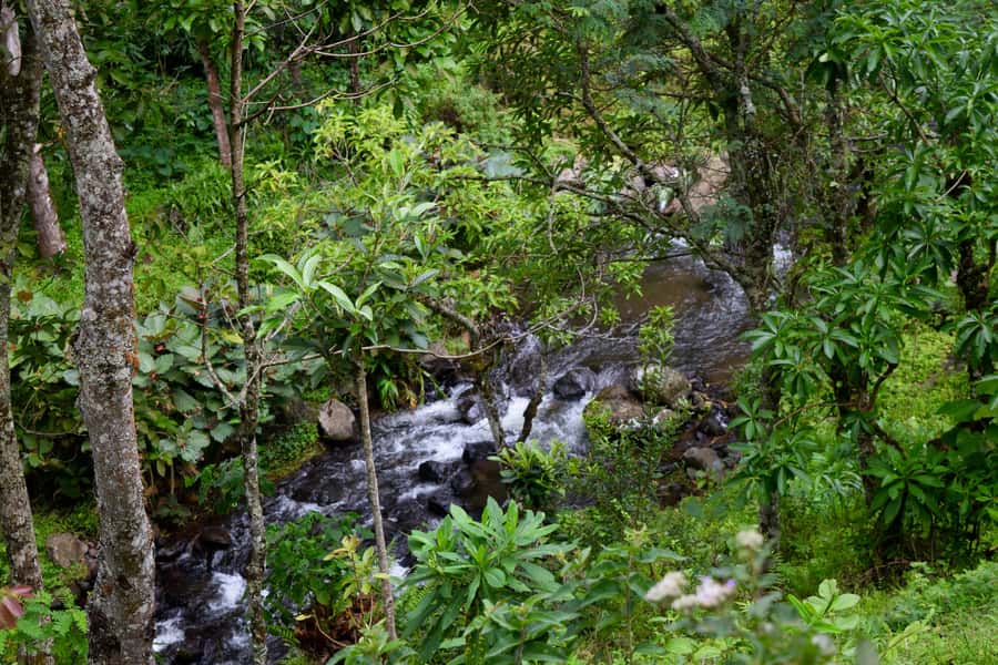 Materuni Waterfalls, Chemka Hot Springs, &/Or Coffee Tour - What to pack for wet paths and swimming