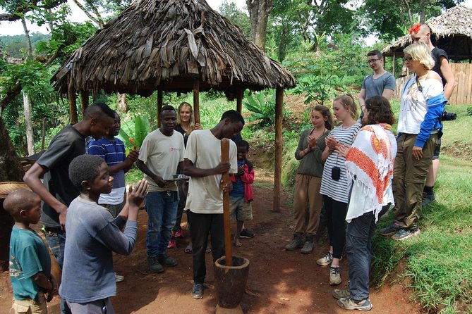 Materuni Waterfalls, Coffee and Village Full Day Tour - Why this Moshi day trip works so well