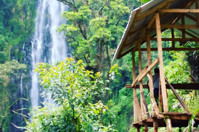 Materuni Waterfalls & Coffee Farm Tour - Why Materuni makes a good break from Moshi