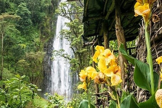 Materuni Waterfalls & Coffee Farm Tour - The 35-minute walk to Materuni Falls