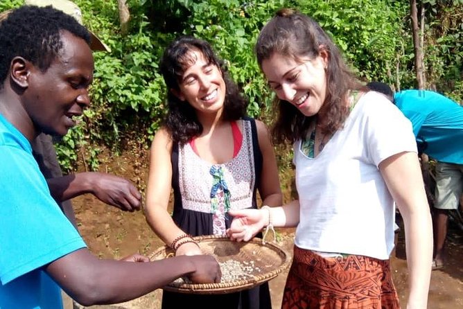 Materuni Waterfalls & Coffee making Cultural Tour | BURIGI CHATO SAFARIS LTD - Is $166.67 a fair price?