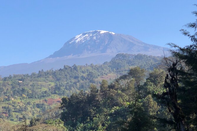 Materuni Waterfalls & Coffee Tour - Lunch and the taste of rural Tanzania