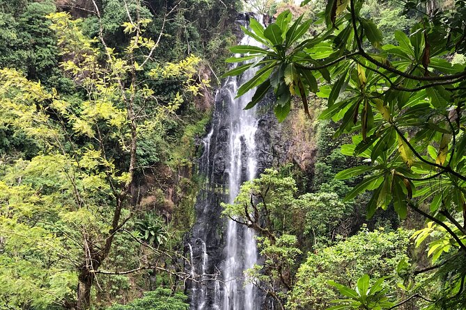 Materuni waterfalls coffee tour & Chemka hot springs Day trip - The bumpy ride to Chemka Hot Springs
