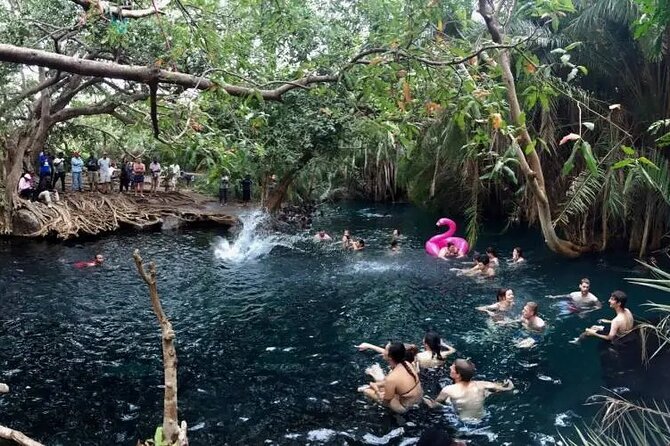 Materuni waterfalls coffee tour & Chemka hot springs Day trip - How long should you actually allow?