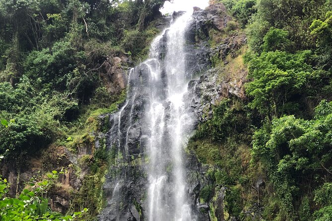 Materuni waterfalls coffee tour & Chemka hot springs Day trip - Private touring and guide quality