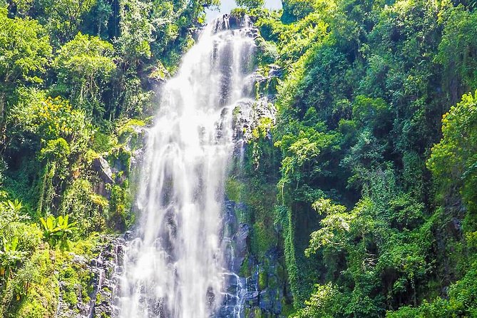 Materuni Waterfalls & Coffee Tour from Moshi - Starting in Moshi and heading toward Materuni village