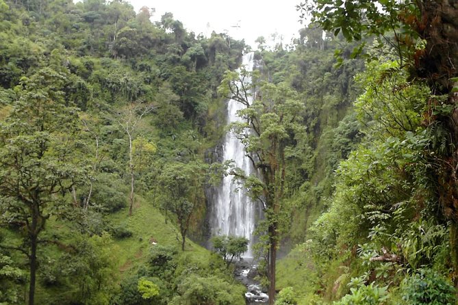 Materuni Waterfalls & Coffee Tour from Moshi - Lunch, timing, and what the $60 covers