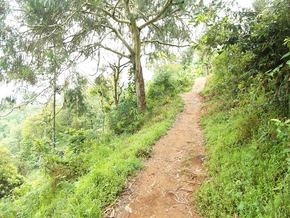 Materuni Waterfalls & Coffee Tour from Moshi - What to pack for a smoother day