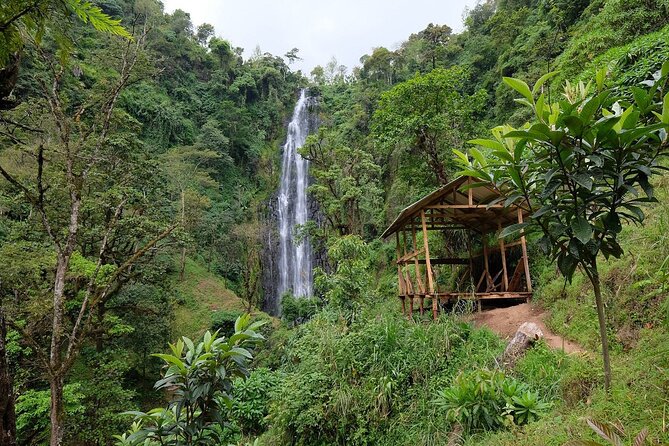 Materuni waterfalls,coffee tour & Kikuletwa(Chemka)Hot Springs - What makes this day trip worth considering