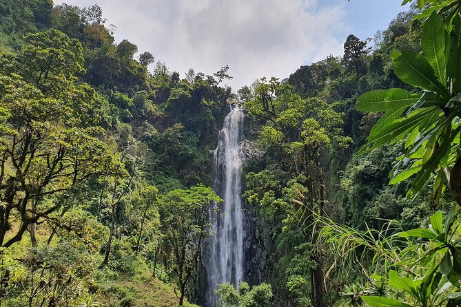 Materuni waterfalls,coffee tour & Kikuletwa(Chemka)Hot Springs - Walking into Materuni Waterfall