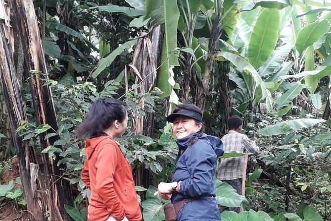 Materuni waterfalls,coffee tour & Kikuletwa(Chemka)Hot Springs - What the private format changes