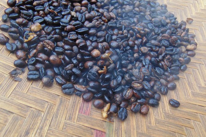 Materuni waterfalls,coffee tour & Kikuletwa(Chemka)Hot Springs - Is $100 a good value?