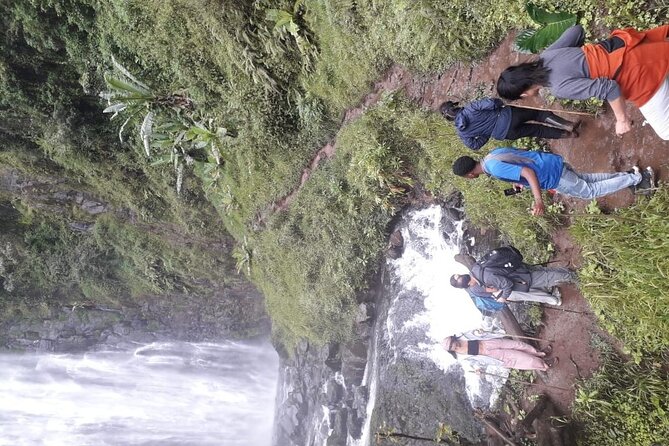 Materuni waterfalls,coffee tour & Kikuletwa(Chemka)Hot Springs - Learning how coffee reaches your cup