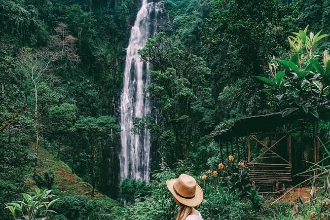 Materuni Waterfalls, coffee tour & Kikuletwa Hot Springs - Materuni Waterfall and the Chagga village trail