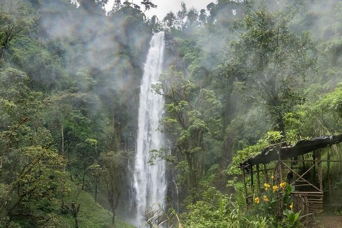Materuni Waterfalls, coffee tour & Kikuletwa Hot Springs - What Kikuletwa is really like