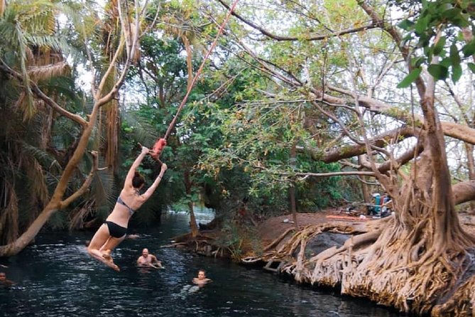 Materuni Waterfalls, coffee tour & Kikuletwa Hot Springs - Guides make the difference
