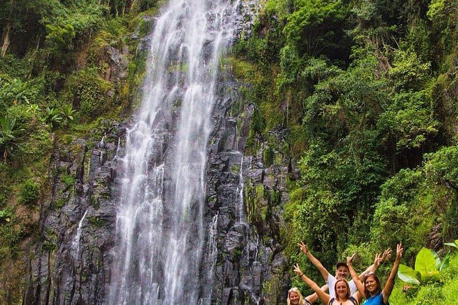 Materuni Waterfalls, coffee tour & Kikuletwa Hot Springs - Who should book this day?