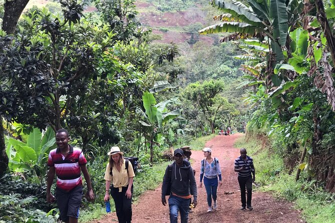 Materuni Waterfalls & Coffee Tour - The walk to Materuni Waterfalls