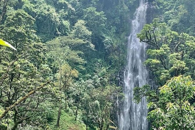 Materuni Waterfalls, Kikuletwa Chemka Hot springs, Coffee tour - What the $100 Price Really Covers
