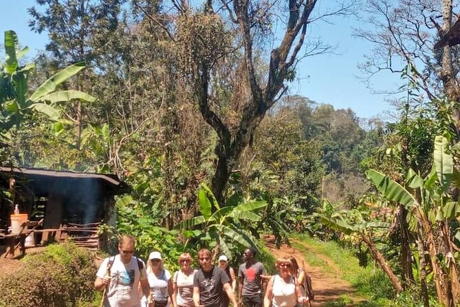 Materuni Waterfalls, Kikuletwa Chemka Hot springs, Coffee tour - Who Should Book This Private Day Trip?