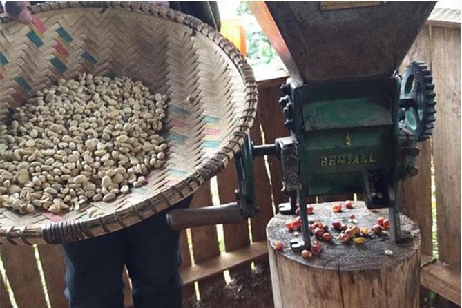 Materuni Waterfalls, Visiting Chagga Village, CoffeeTour Kikuletwa Hotsprings - Coffee Making With the Chagga Community