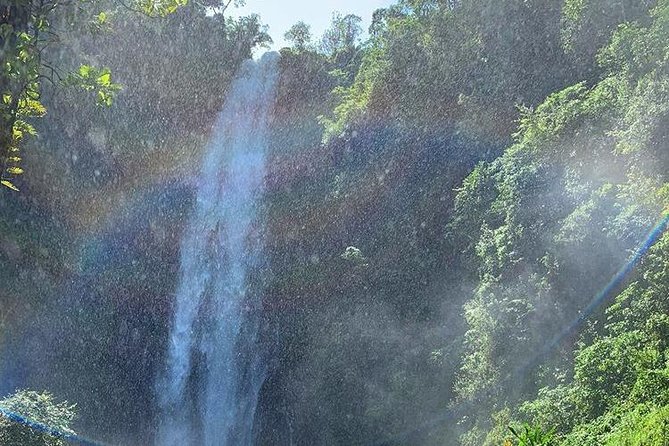 Materuni Waterfalls, Visiting Chagga Village, CoffeeTour Kikuletwa Hotsprings - Banana Beer, Lunch, and Chagga Hospitality