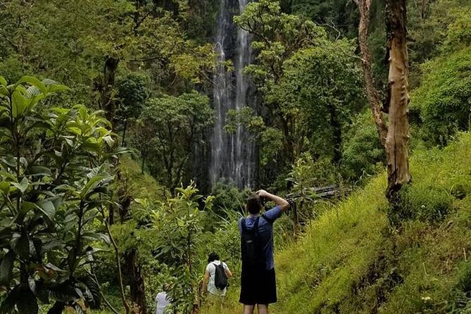Materuni Waterfalls, Visiting Chagga Village, CoffeeTour Kikuletwa Hotsprings - Timing, Pickup, and Group Size