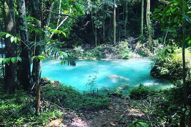 Mayfield Falls, Blue Hole & Rick's Café Tours/Weed Farm option - The guides can shape the whole experience