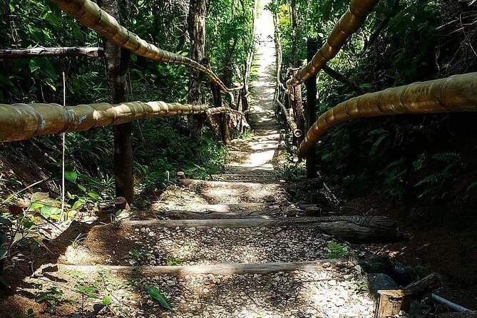 Mayfield Falls, Blue Hole & Rick's Café Tours/Weed Farm option - Mayfield Falls: the wettest and best part of the day