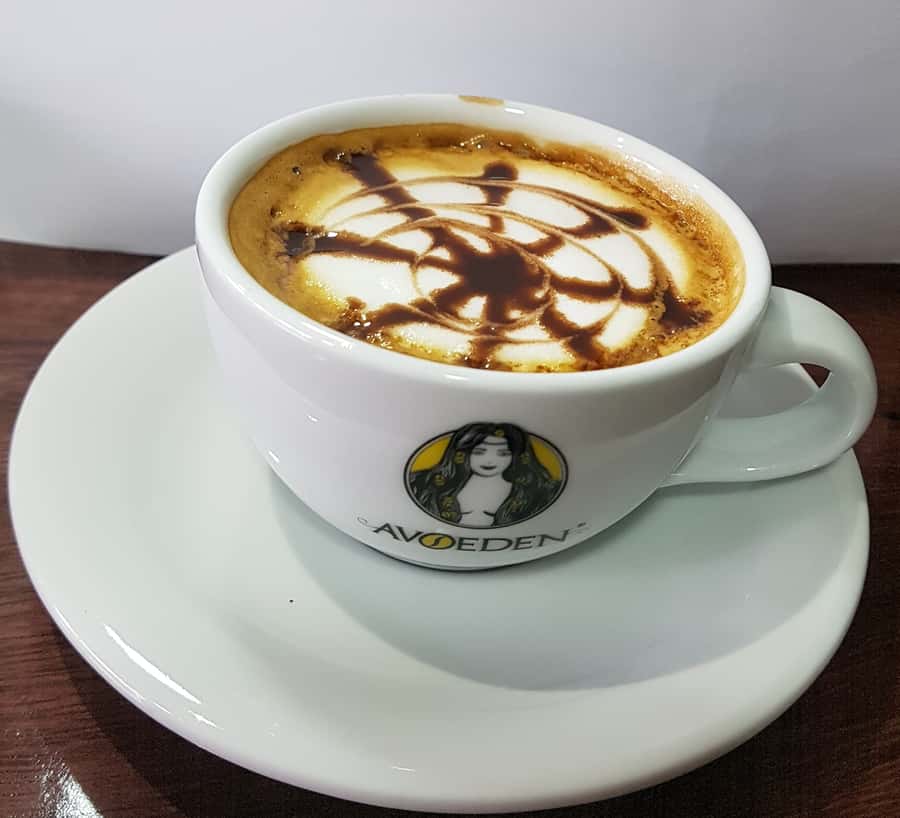 Medellin: Avoeden Café Coffee Brewing Workshop - Timing, Accessibility, and Planning Advice