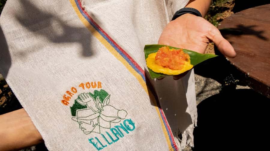 Medellin: Coffee and fruit tour - Should you book Agrotur El Llano?