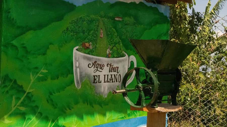 Medellin: Coffee and fruit tour - Who will enjoy this farm tour most