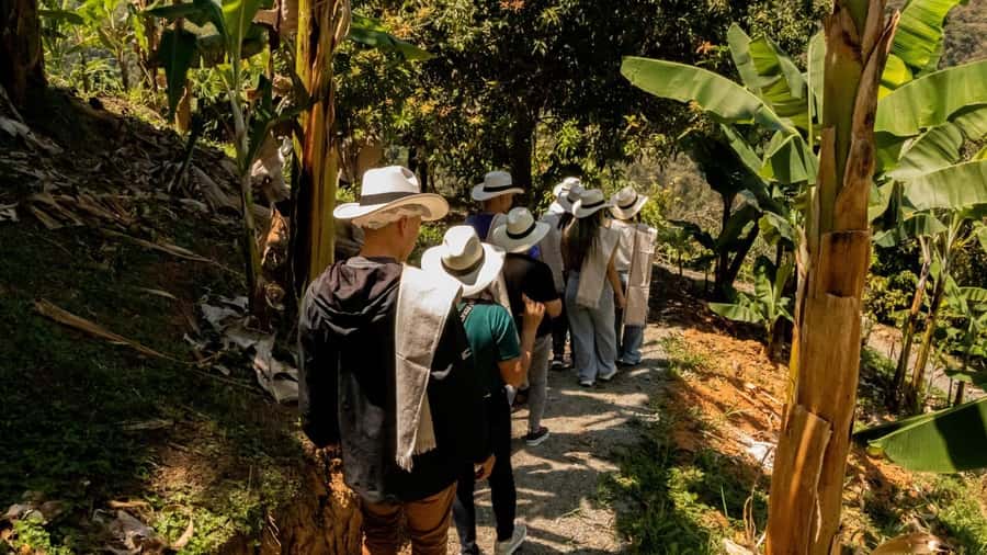 Medellin: Coffee and fruit tour - Five stations that turn a farm visit into a lesson