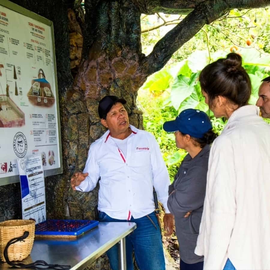 Medellin: Coffee Farm and Barista Workshop Experience - Key points to know before you book