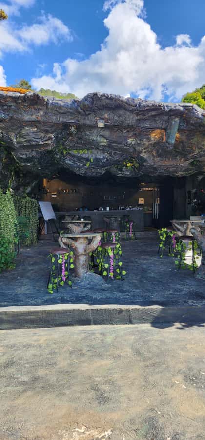Medellin: Coffee Farm Tour & Spa with Overnight Glamping - Sleeping in the coffee cave