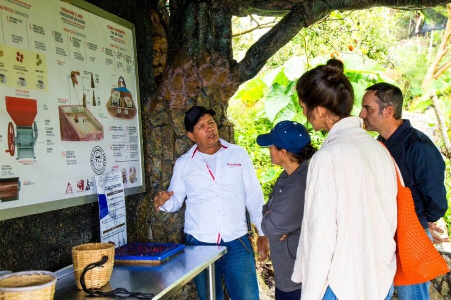 Medellin: Coffee Farm Tour & Spa with Overnight Glamping - From coffee plants to the finished cup