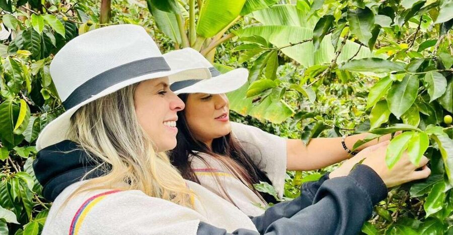 Medellín Coffee Farm Tour with Trolley and Cable Car Ride - Guides make a real difference