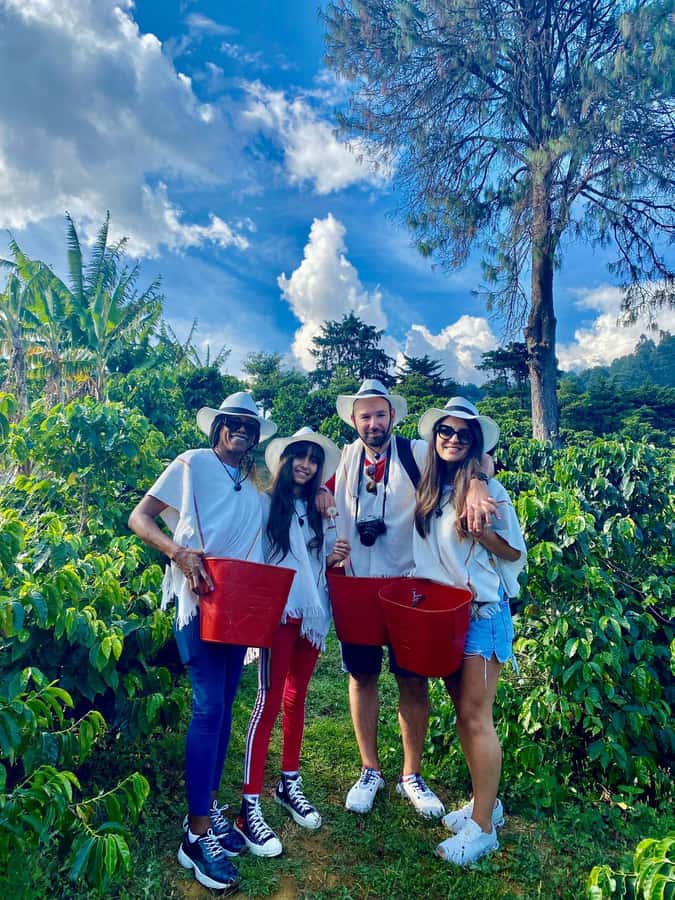 Medellín Coffee Farm Tour with Trolley and Cable Car Ride - Starting at San Antonio station
