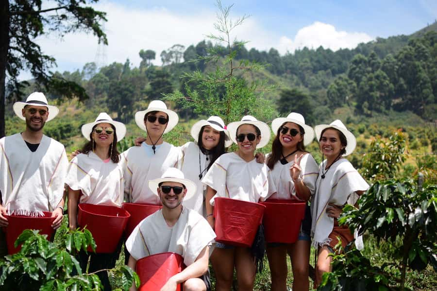 Medellín Coffee Farm Tour with Trolley and Cable Car Ride - The cable car ride into Comuna 8
