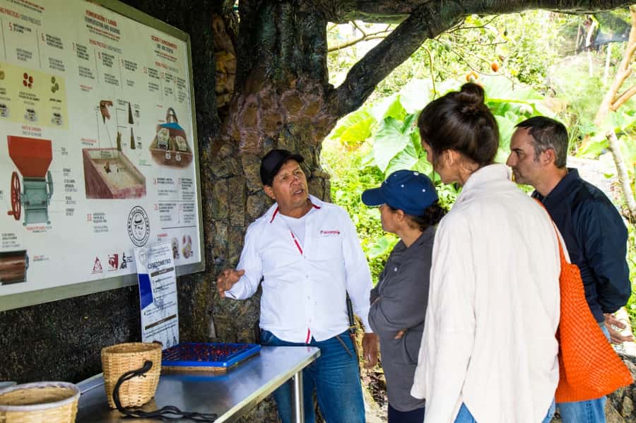 Medellin: Coffee Tour and Wellness Spa - Should you book the Medellín coffee and wellness tour?