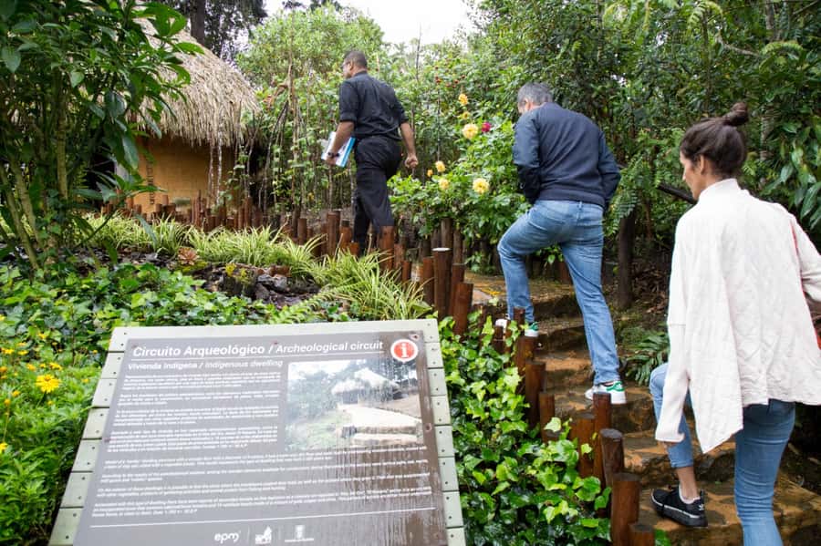 Medellin: Coffee Tour and Wellness Spa - Planting a coffee bush with your name