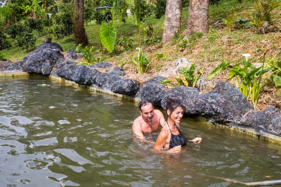 Medellin: Coffee Tour and Wellness Spa - How the $88 price measures up