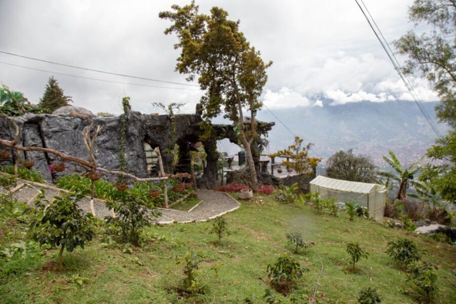 Medellin: Coffee Tour and Wellness Spa - Who will enjoy this experience most
