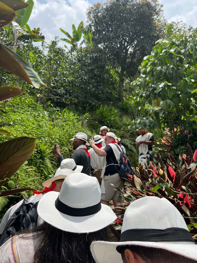Medellín: Coffee Tour Experience at a Coffee Farm - Key Points to Know Before You Book