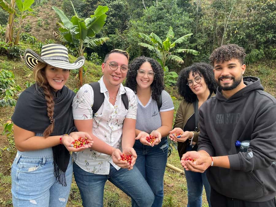 Medellín: Coffee Tour Experience at a Coffee Farm - Seeing Coffee as a Farm Crop