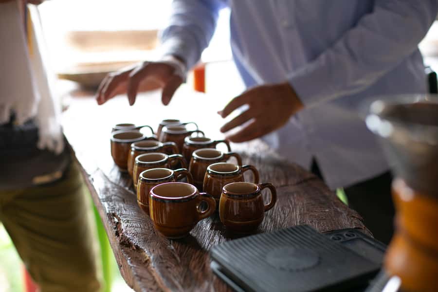 Medellin: Coffee Tour, Horseback Arrival, and Sugar Cane - Key points to know before booking