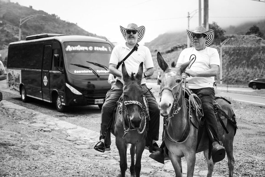 Medellin: Coffee Tour, Horseback Arrival, and Sugar Cane - Practical advice for a smoother day